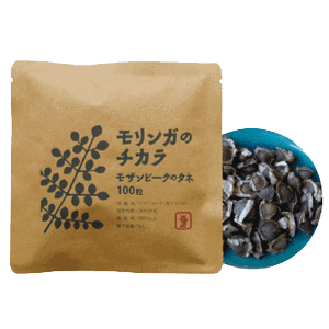 モリンガのチカラ モザンビークのタネ 100粒