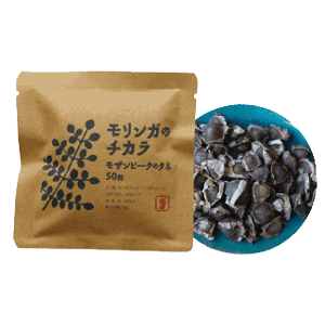モリンガのチカラ モザンビークのタネ 50粒